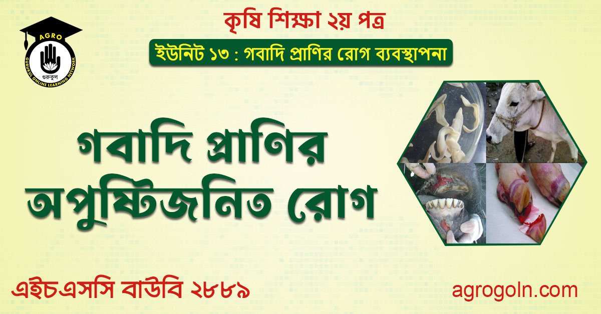 গবাদি প্রাণির অপুষ্টিজনিত রোগ
