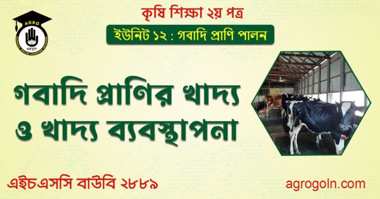 গবাদি প্রাণির খাদ্য ও খাদ্য ব্যবস্থাপনা