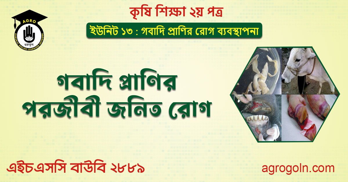 গবাদি প্রাণির পরজীবী জনিত রোগ