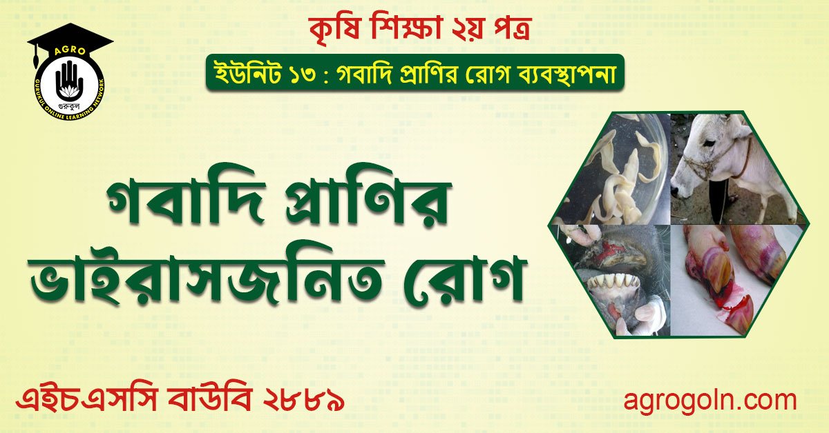 ভাইরাসজনিত রোগ