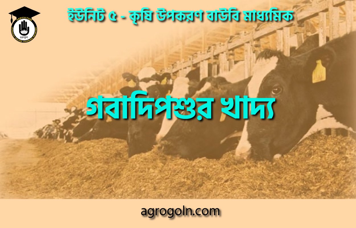 গবাদিপশুর খাদ্য