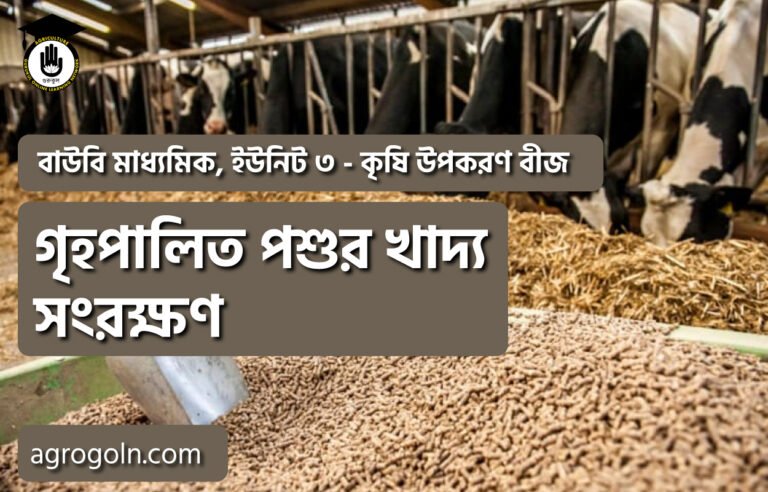 গৃহপালিত পশুর খাদ্য সংরক্ষণ