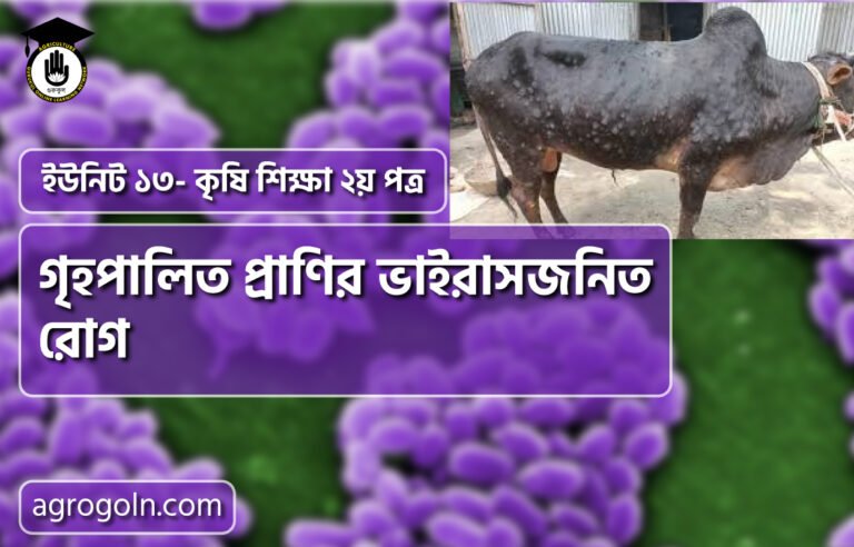 গৃহপালিত প্রাণির ভাইরাসজনিত রোগ