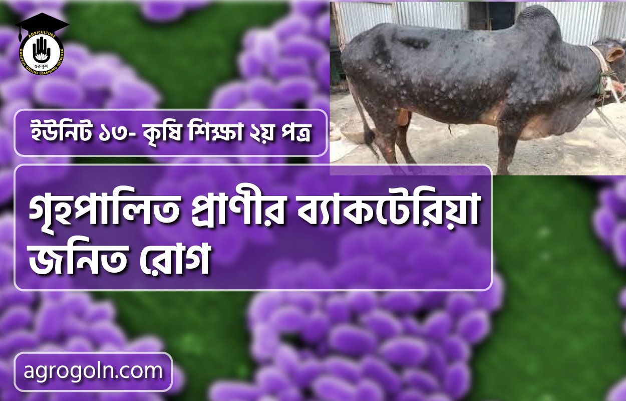 গৃহপালিত প্রাণীর ব্যাকটেরিয়া জনিত রোগ