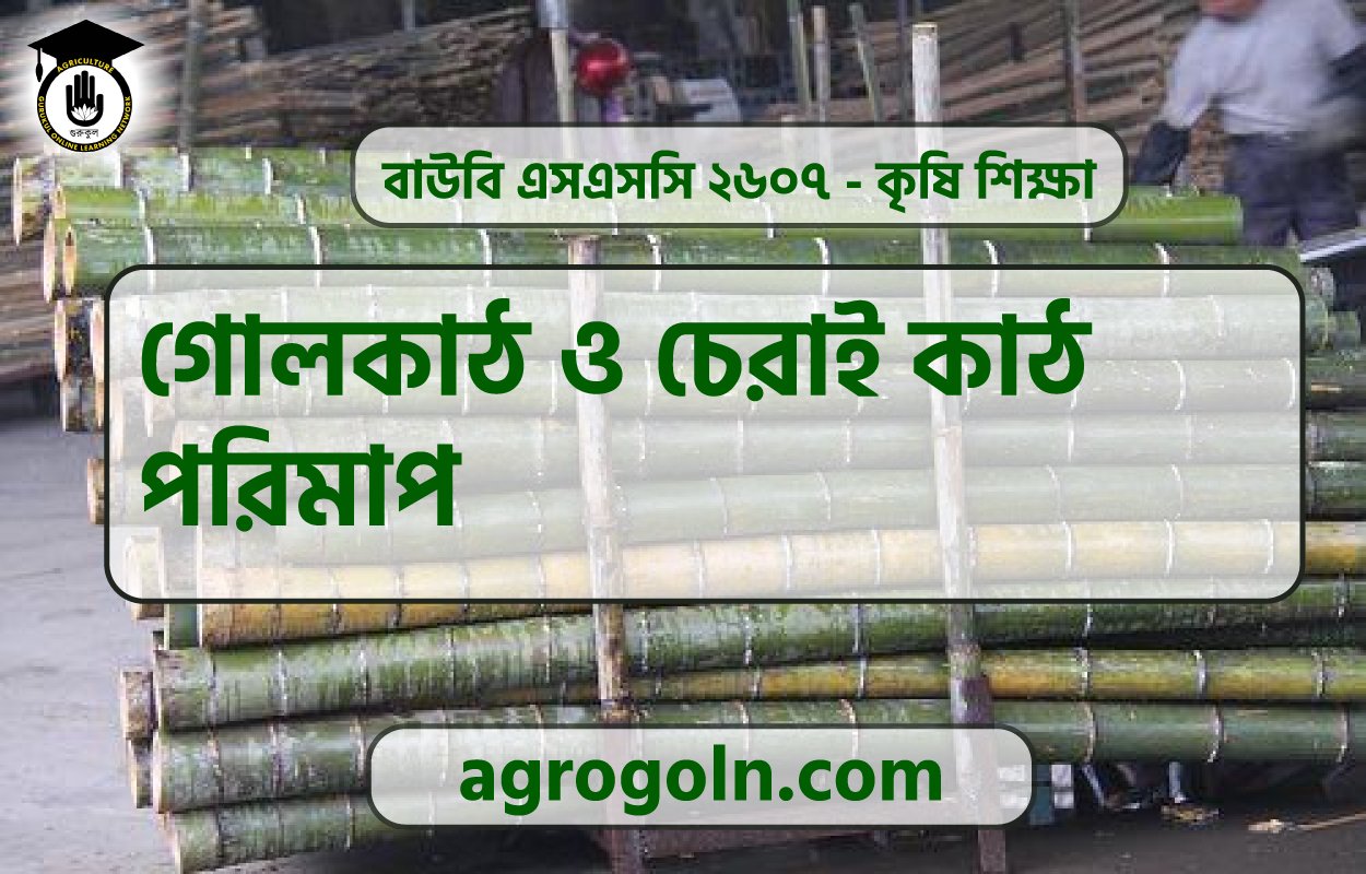 গোলকাঠ ও চেরাই কাঠ পরিমাপ