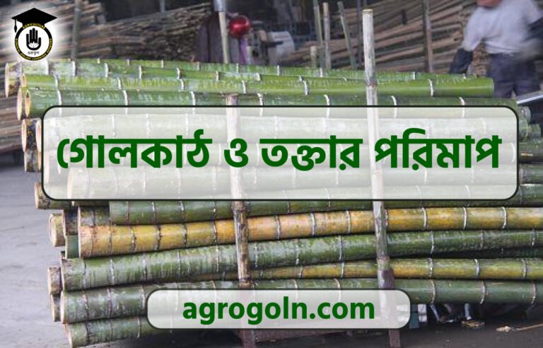 গোলকাঠ ও তক্তার পরিমাপ