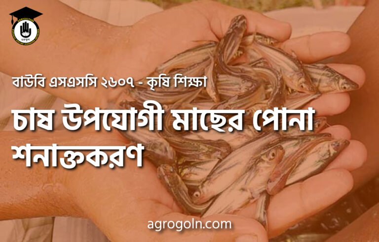 চাষ উপযোগী মাছের পোনা শনাক্তকরণ