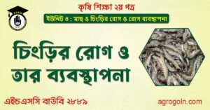 চিংড়ির রোগ ও তার ব্যবস্থাপনা চিংড়ির-রোগ-ও-তার-ব্যবস্থাপনা