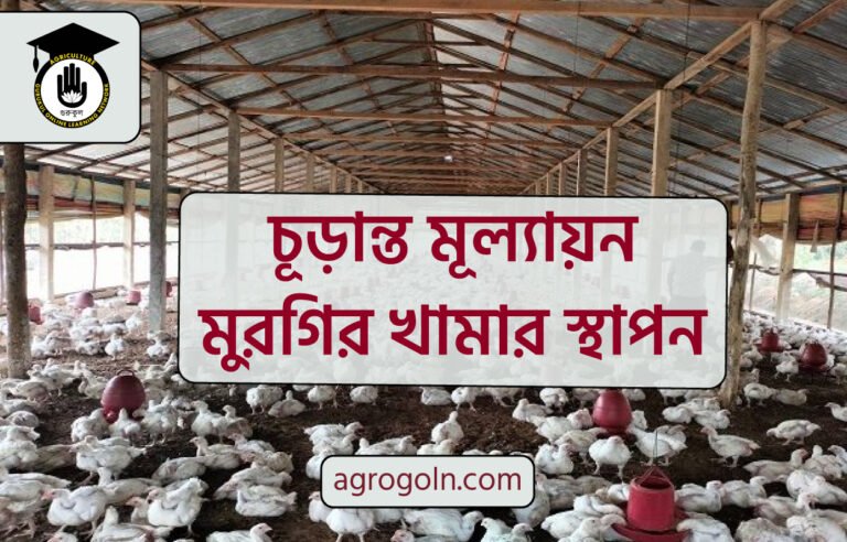 চূড়ান্ত মূল্যায়ন – মুরগির খামার স্থাপন