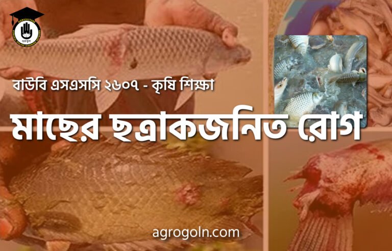 ছত্রাকজনিত রোগ