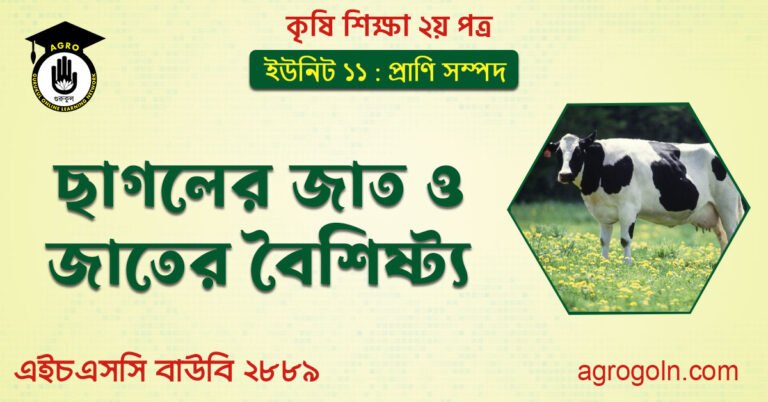 ছাগলের জাত ও জাতের বৈশিষ্ট্য