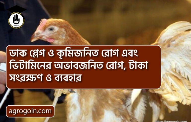 ডাক প্লেগ ও কৃমিজনিত রোগ এবং ভিটামিনের অভাবজনিত রোগ, টাকা সংরক্ষণ ও ব্যবহার