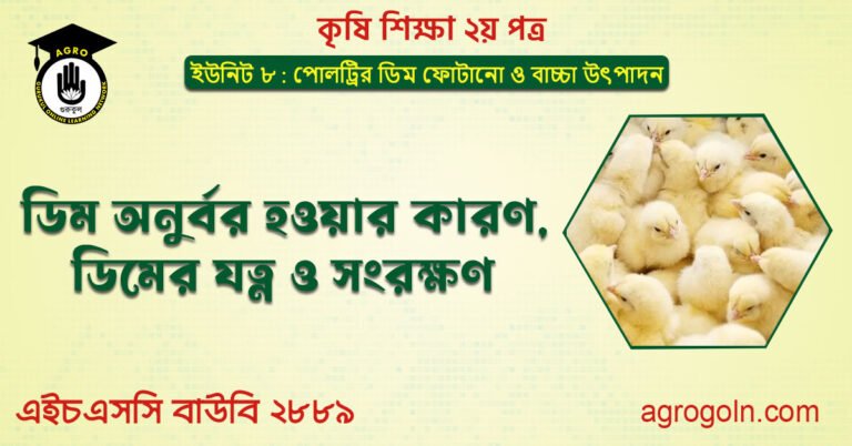 ডিম অনুর্বর হওয়ার কারণ, ডিমের যত্ন ও সংরক্ষণ