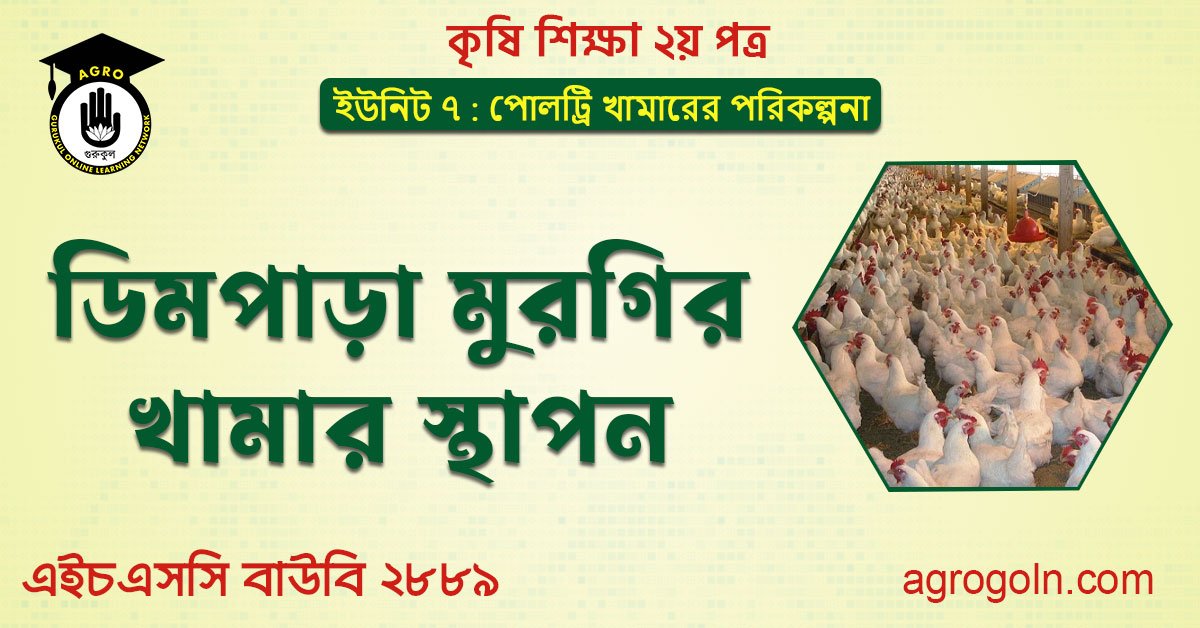 ডিম পাড়া মুরগির খামার স্থাপন