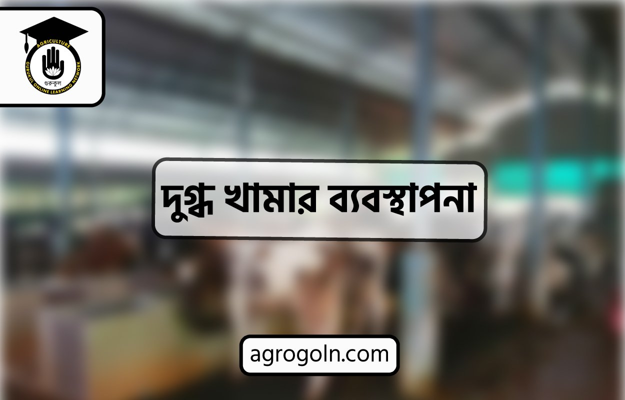 দুগ্ধ খামার ব্যবস্থাপনা
