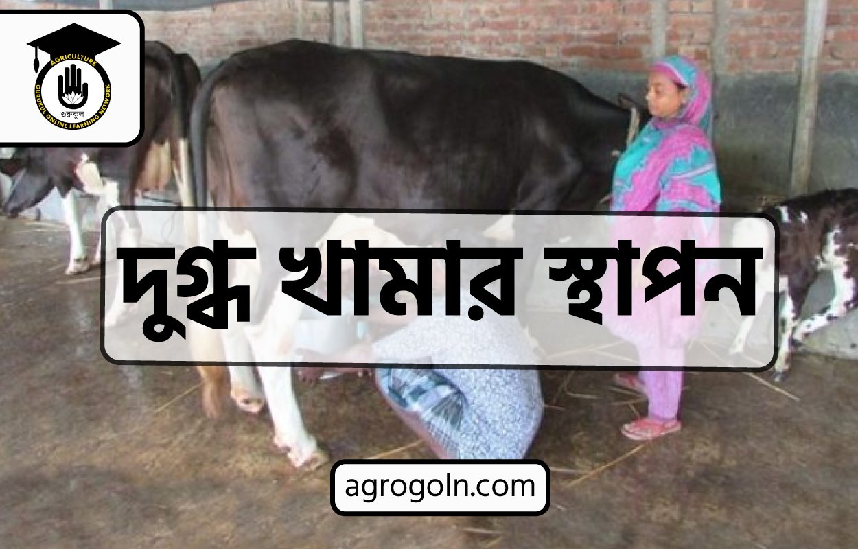 চূড়ান্ত মূল্যায়ন- দুগ্ধ খামার স্থাপন 1 চূড়ান্ত মূল্যায়ন- দুগ্ধ খামার স্থাপন