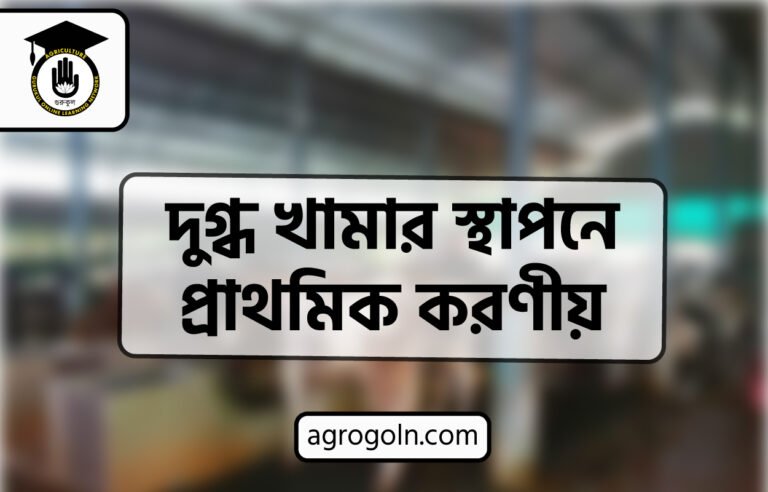 দুগ্ধ খামার স্থাপনে প্রাথমিক করণীয়