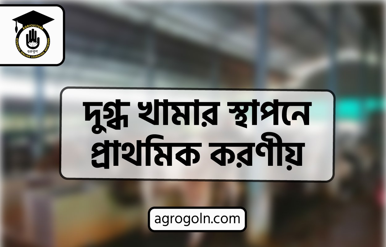 দুগ্ধ খামার স্থাপনে প্রাথমিক করণীয়
