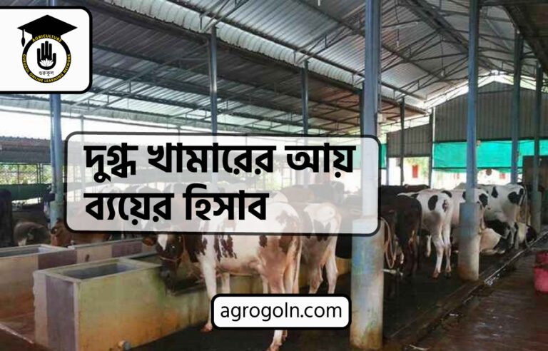 দুগ্ধ খামারের আয় ব্যয়ের হিসাব