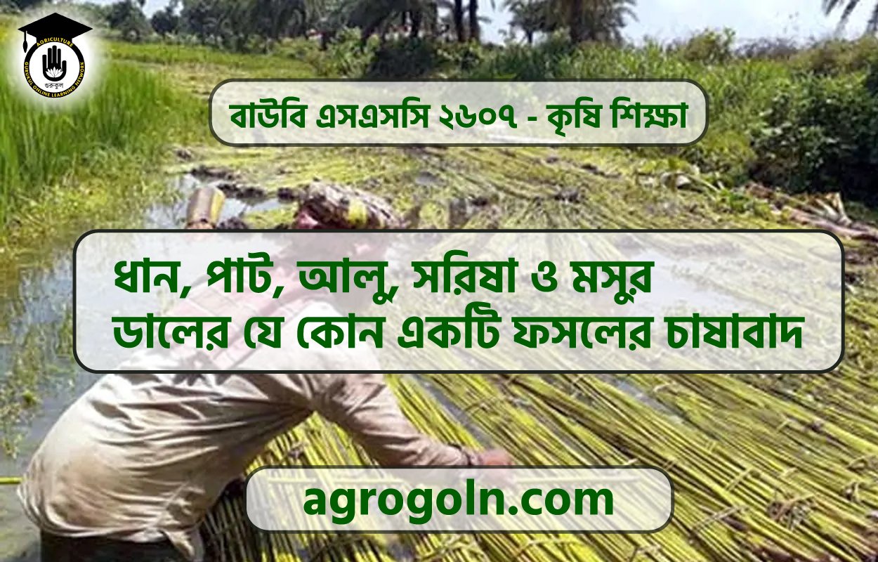 ধান, পাট, আলু, সরিষা ও মসুর ডালের যে কোন একটি ফসলের চাষাবাদ
