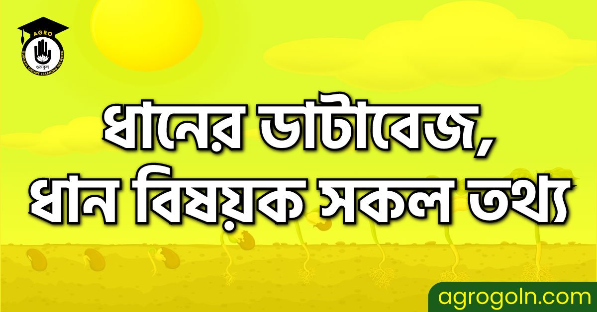 ধানের ডাটাবেজ, ধান বিষয়ক সকল তথ্য