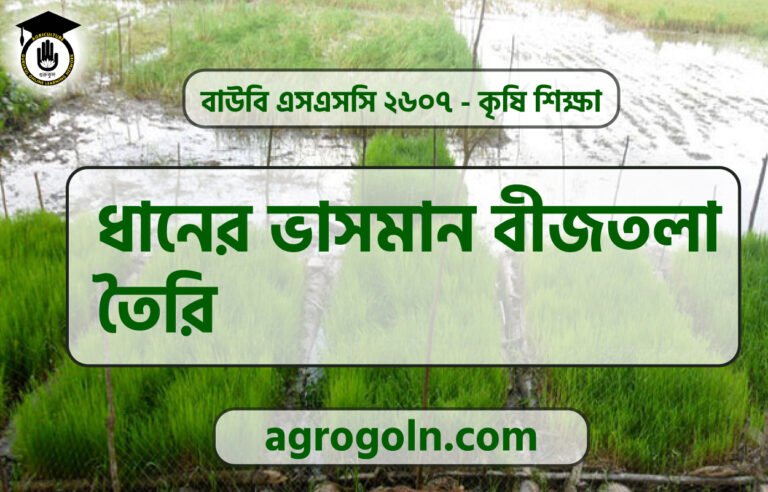 ধানের ভাসমান বীজতলা তৈরি