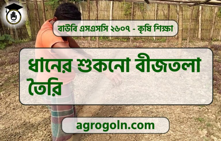 ধানের শুকনো বীজতলা তৈরি