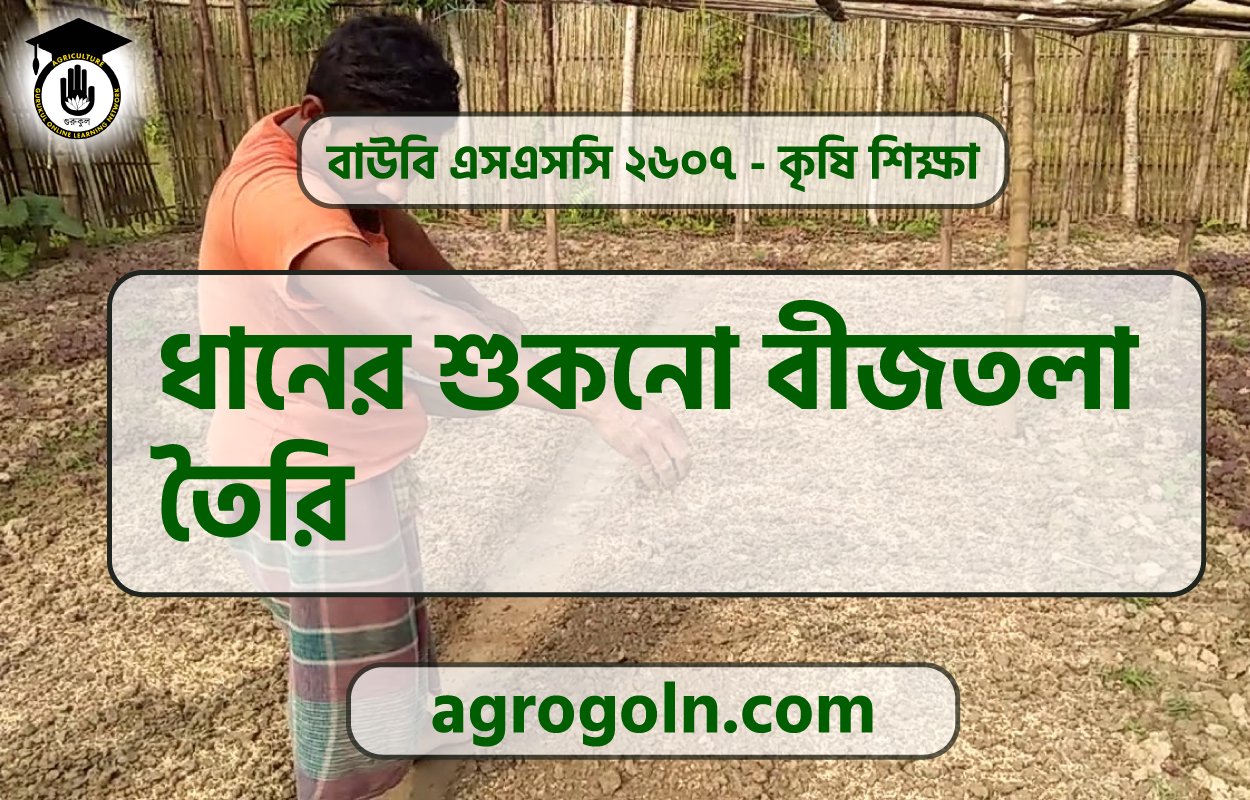 ধানের শুকনো বীজতলা তৈরি