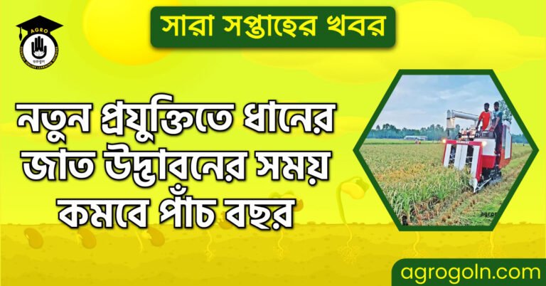 নতুন প্রযুক্তিতে ধানের জাত উদ্ভাবনের সময় কমবে পাঁচ বছর