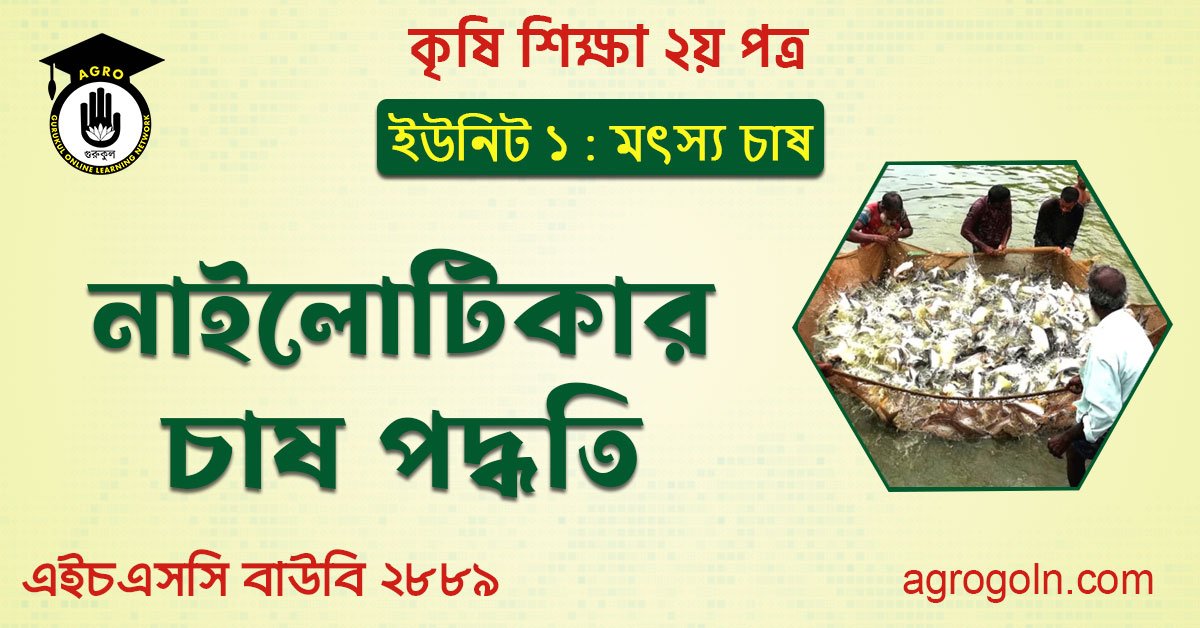 নাইলোটিকার চাষ পদ্ধতি