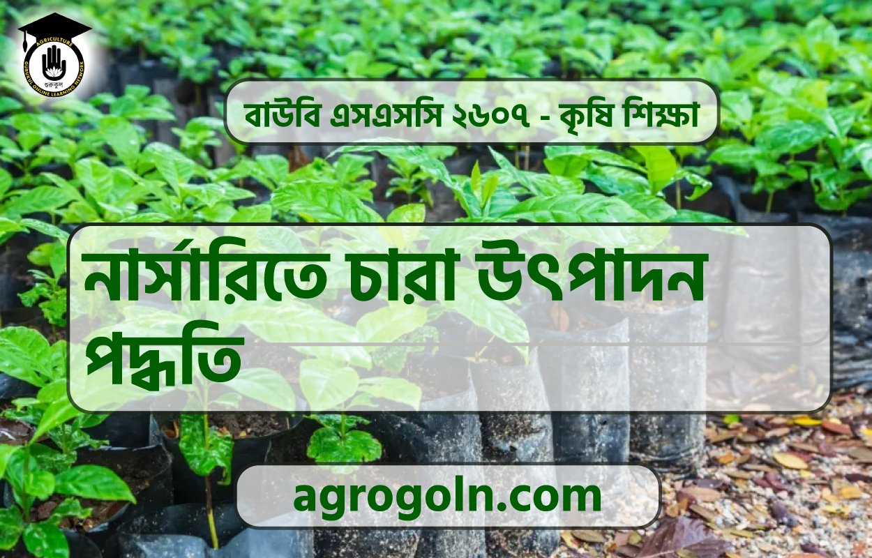 নার্সারিতে চারা উৎপাদন পদ্ধতি