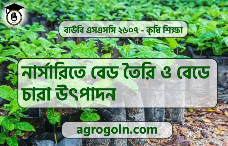 নার্সারিতে বেড তৈরি ও বেডে চারা উৎপাদন