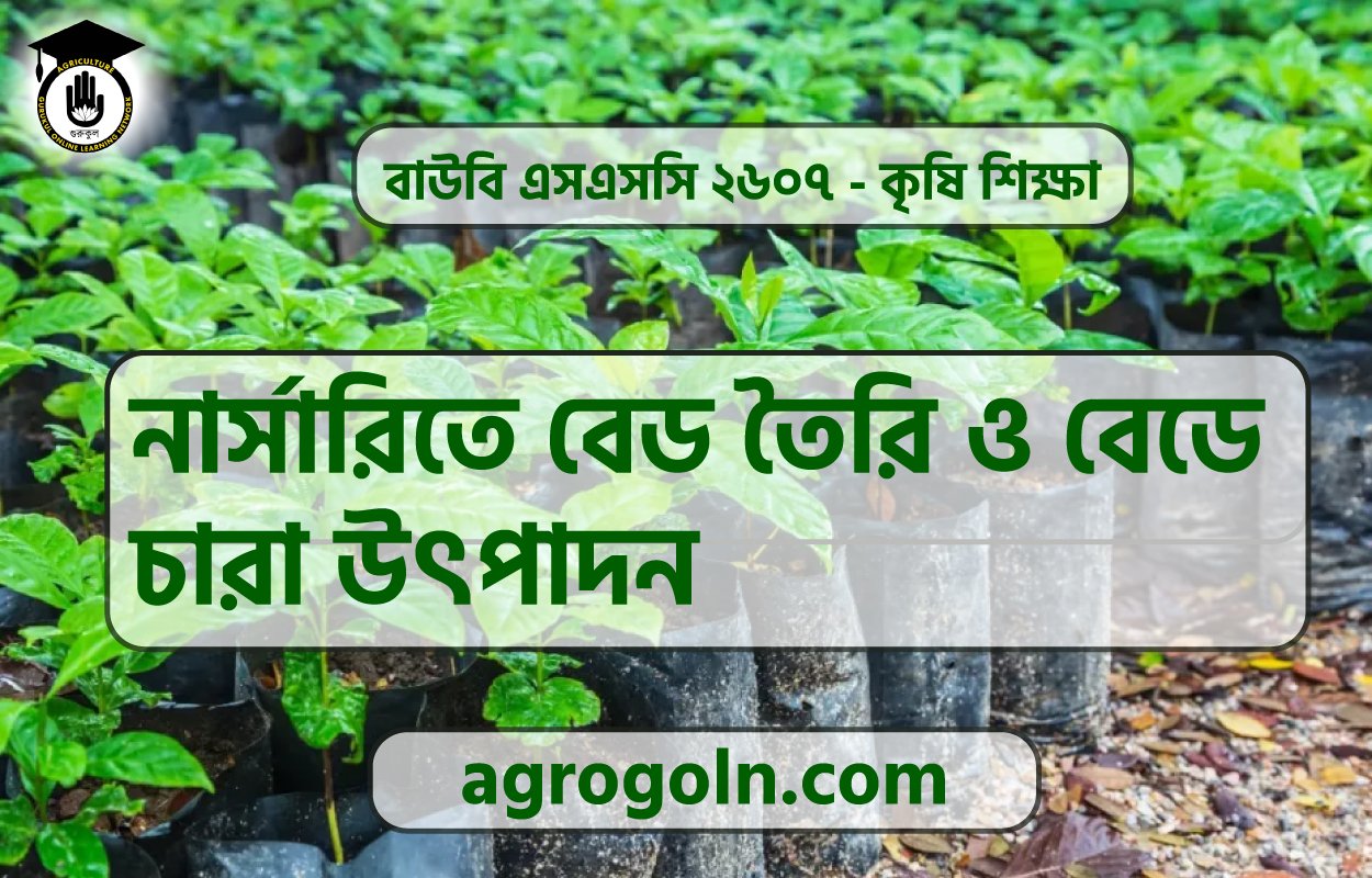 নার্সারিতে বেড তৈরি ও বেডে চারা উৎপাদন