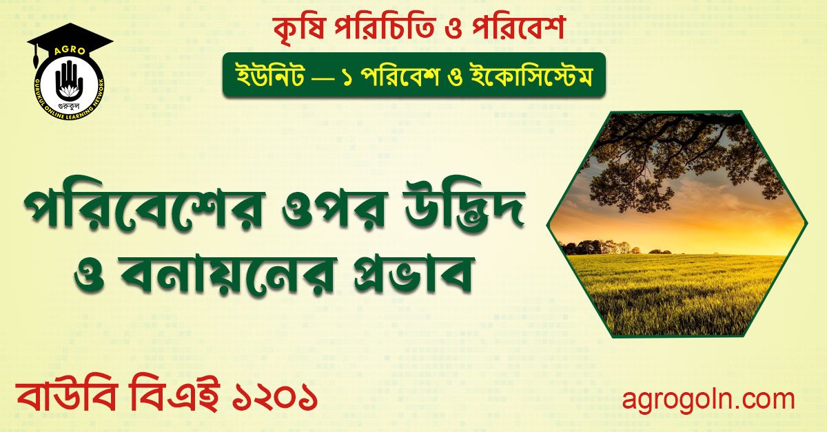 পরিবেশের ওপর উদ্ভিদ ও বনায়নের প্রভাব 1 পরিবেশের ওপর উদ্ভিদ ও বনায়নের প্রভাব