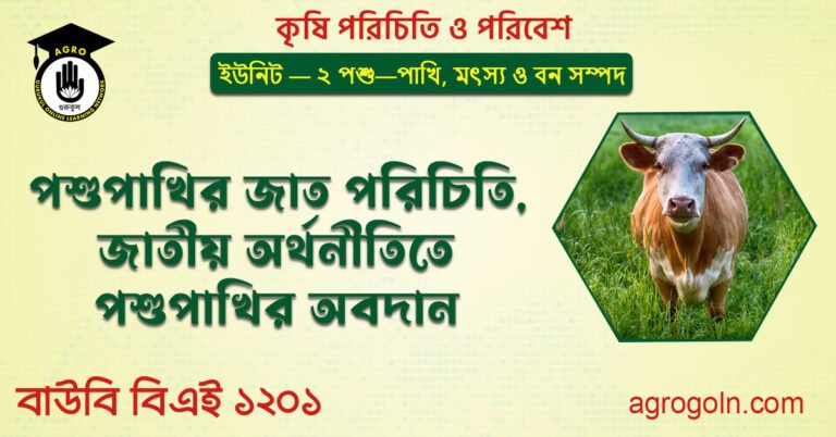 পশুপাখির জাত পরিচিতি, জাতীয় অর্থনীতিতে পশুপাখির অবদান
