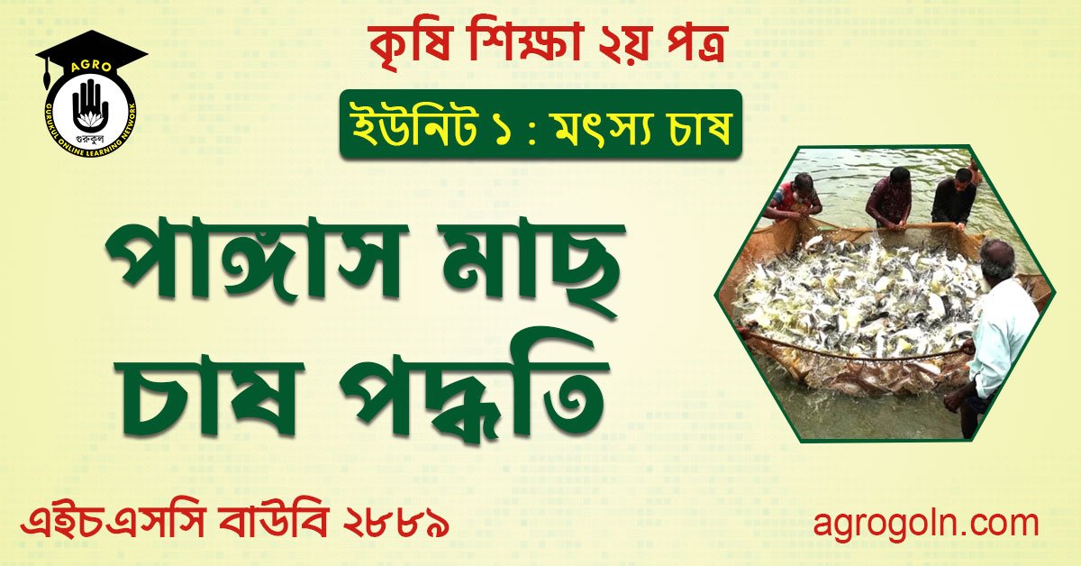 পাঙ্গাস মাছ চাষ পদ্ধতি