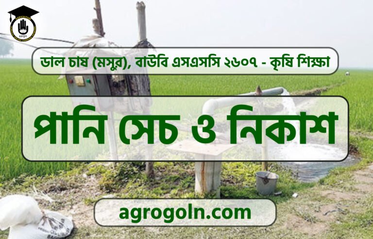 পানি সেচ ও নিকাশ