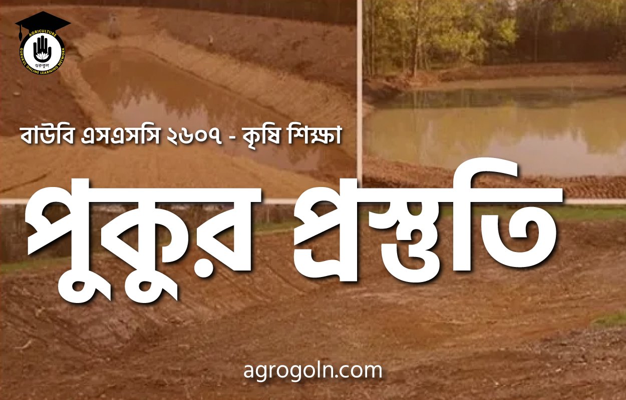 পুকুর প্রস্তুতি