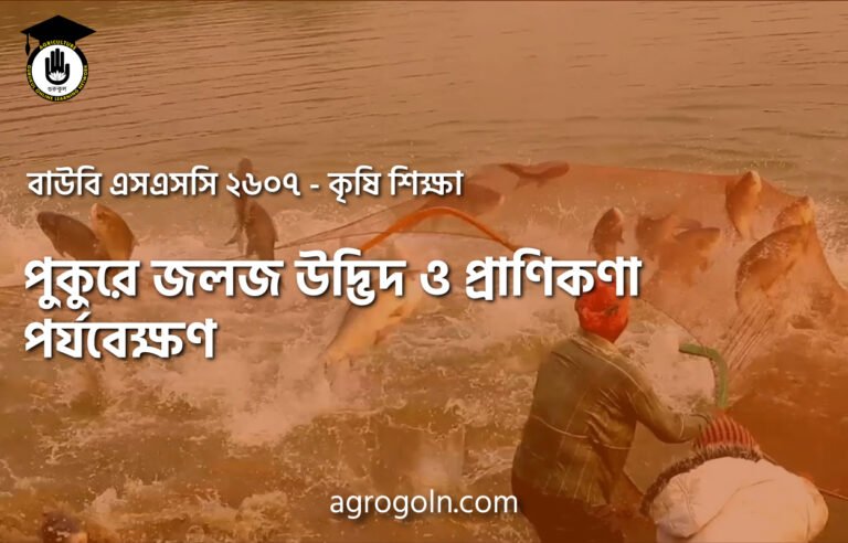 পুকুরে জলজ উদ্ভিদ ও প্রাণিকণা পর্যবেক্ষণ