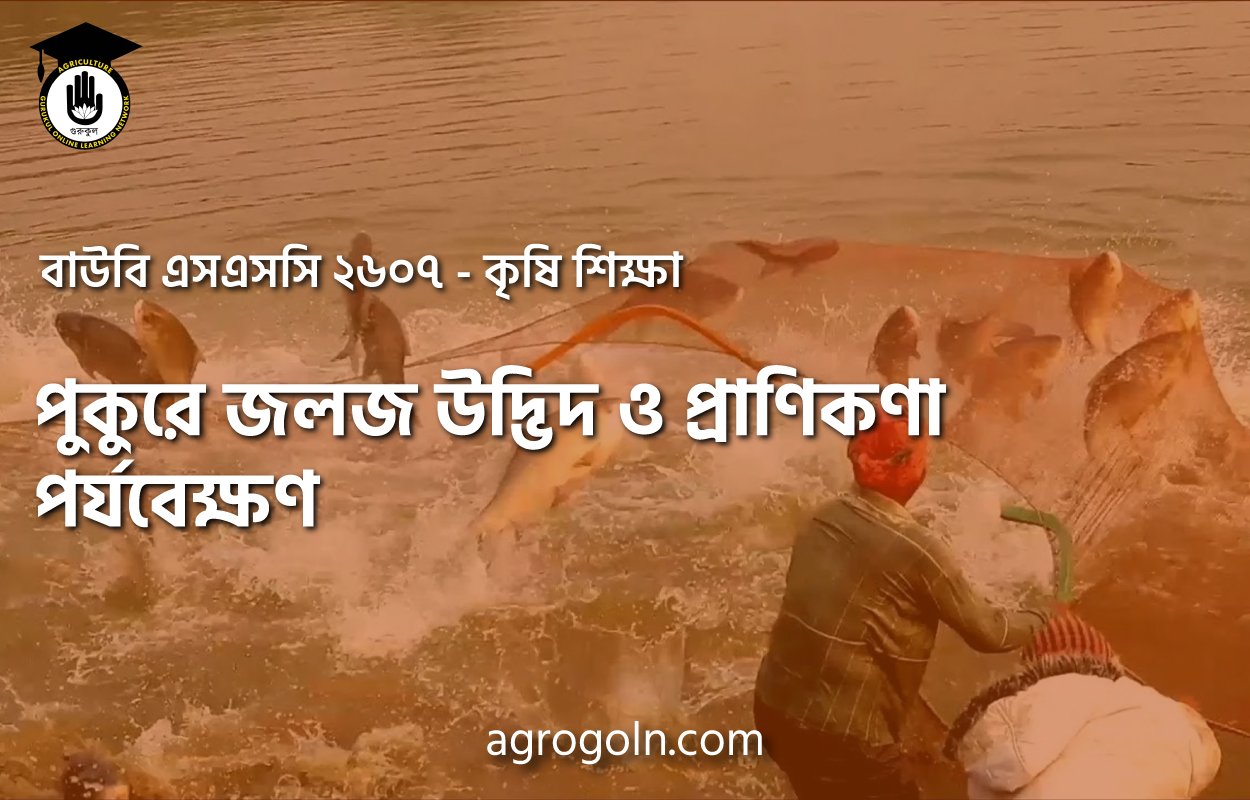 পুকুরে জলজ উদ্ভিদ ও প্রাণিকণা পর্যবেক্ষণ