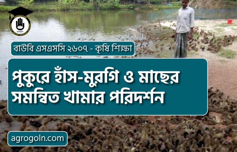 পুকুরে হাঁস-মুরগি ও মাছের সমন্বিত খামার পরিদর্শন