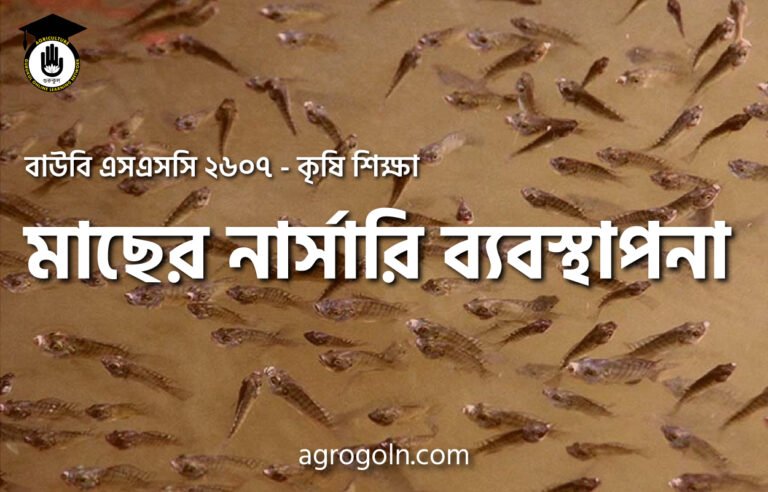 পোনা মজুদের পরবর্তী পরিচর্যা