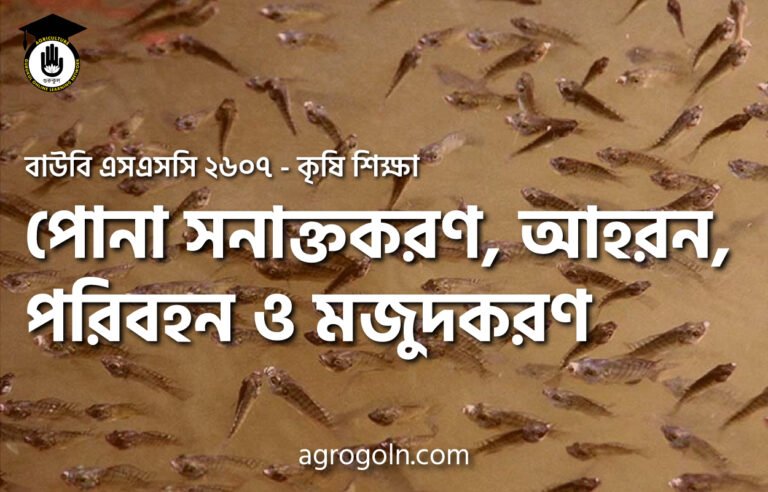 পোনা সনাক্তকরণ, আহরন, পরিবহন ও মজুদকরণ