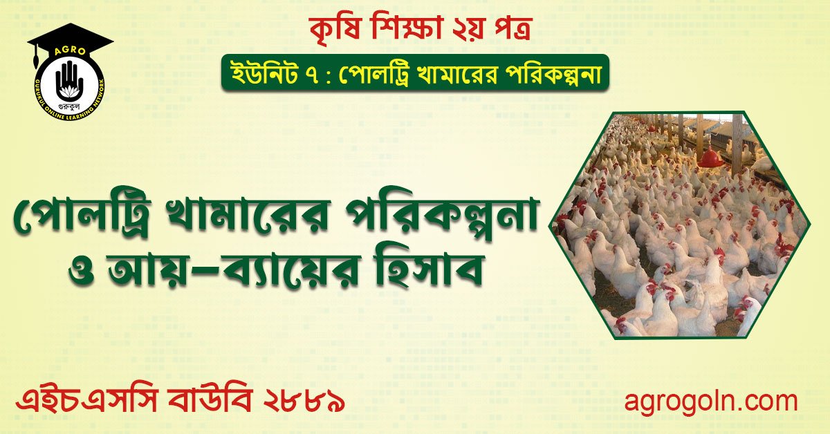 পোলট্রি খামারের পরিকল্পনা ও আয়—ব্যায়ের হিসাব