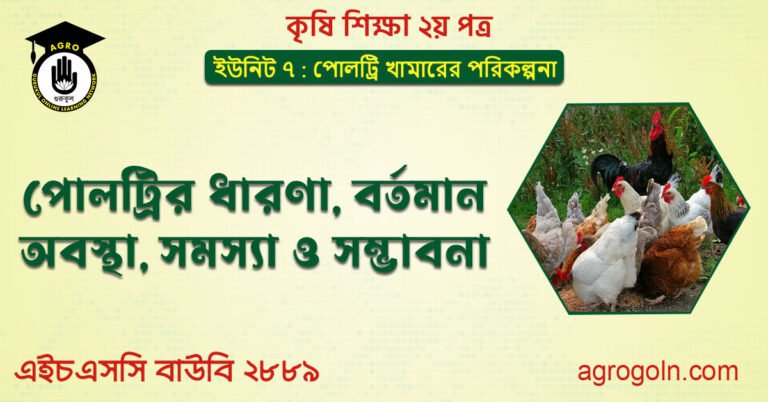 পোলট্রির ধারণা, বর্তমান অবস্থা, সমস্যা ও সম্ভাবনা