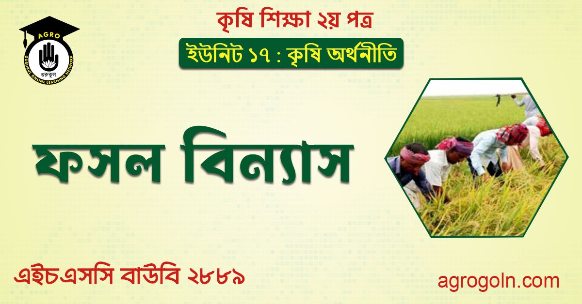 ফসল বিন্যাস