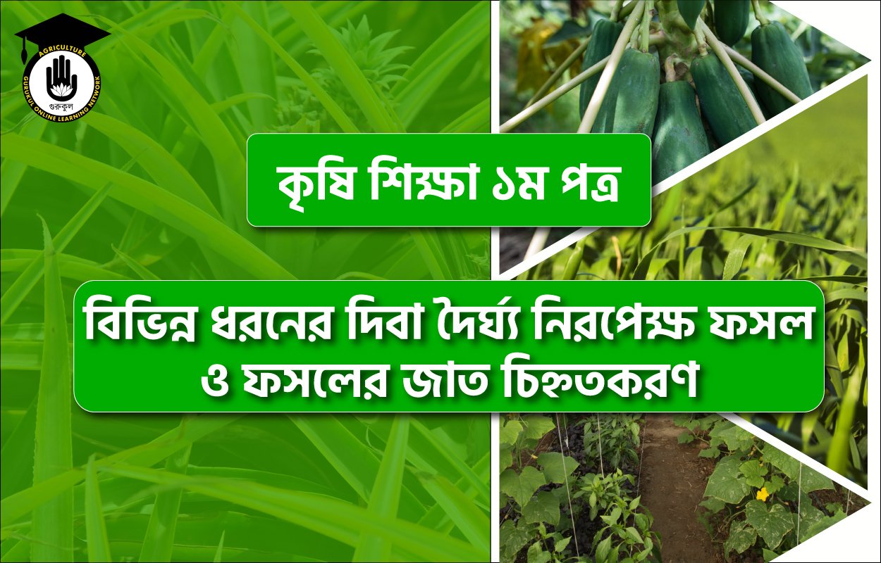 বিভিন্ন ধরনের দিবা দৈর্ঘ্য নিরপেক্ষ ফসল ও ফসলের জাত চিহ্নতকরণ