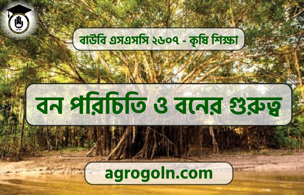 বন পরিচিতি ও বনের গুরুত্ব