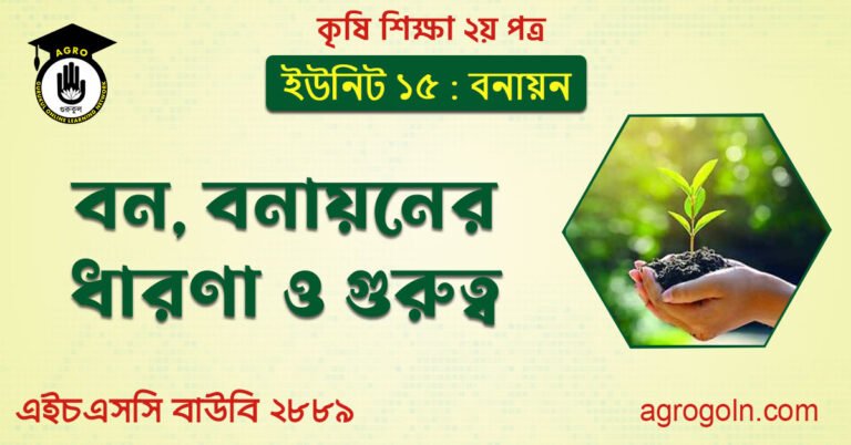 বন ও বনায়নের ধারণা ও গুরুত্ব