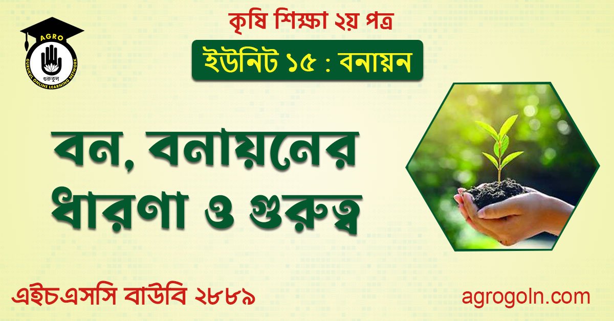 বন ও বনায়নের ধারণা ও গুরুত্ব